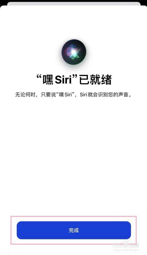 包含为什么会和siri聊天记录的词条