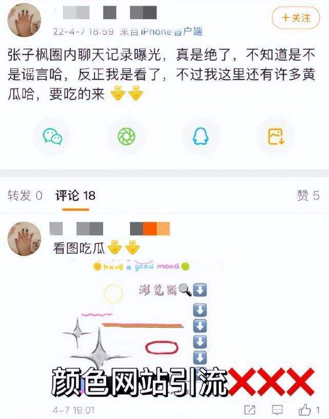 包含张子枫聊天记录在哪看的词条