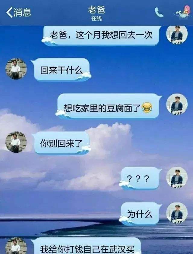 包含一个贫困大学生和父亲的聊天记录的词条