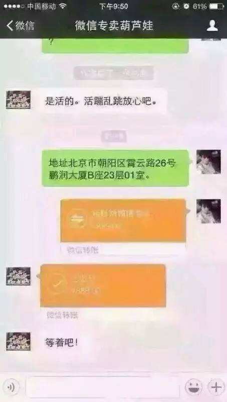 翻遍了我们所有的聊天记录(一遍遍翻着以前的聊天记录 眼泪)