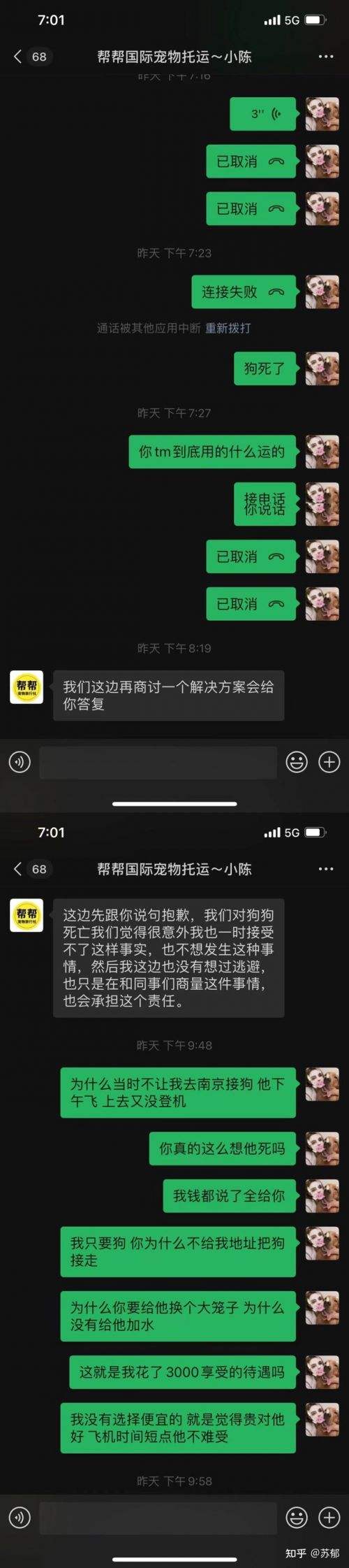 女人买金毛聊天记录的简单介绍