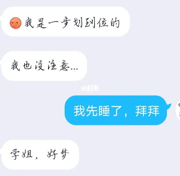 傻子聊天记录视频(如何跟一个傻子聊天)