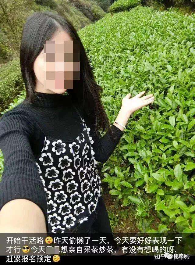 包含卖茶女黑人聊天记录长图的词条