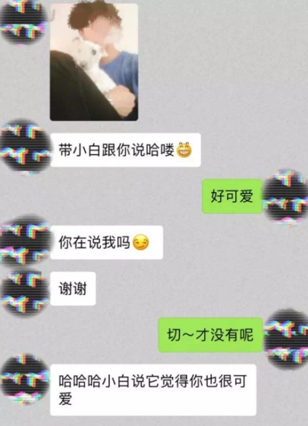 相亲男追女聊天记录(女追男的聊天步骤聊天记录)