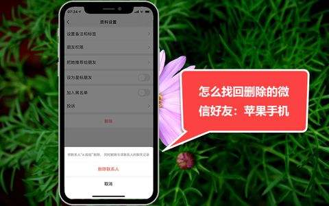 苹果手机的聊天记录能恢复吗(苹果手机是不是可以恢复聊天记录)