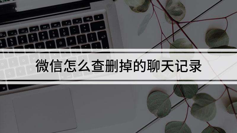 怎么样查看删除微信聊天记录(怎么样查看删除的微信聊天记录)