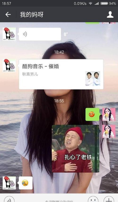 夫人聊天记录表情包(夫人曝光了你的聊天记录)