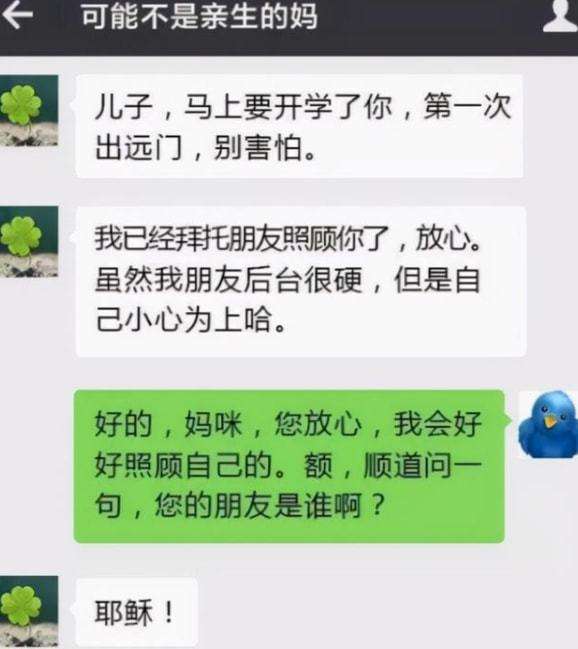 看父母聊天记录(与父母的聊天记录的文章)