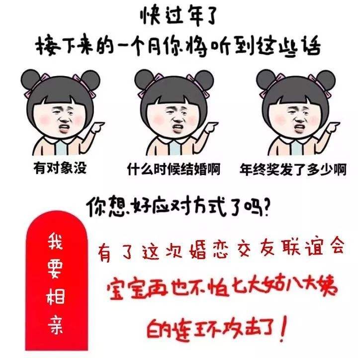 单身狗逼婚微信聊天记录(单身女养狗微信群聊天记录)