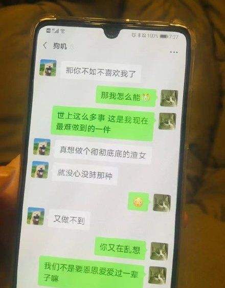 上海女出轨微信聊天记录(女人微信出轨聊天记录图片)