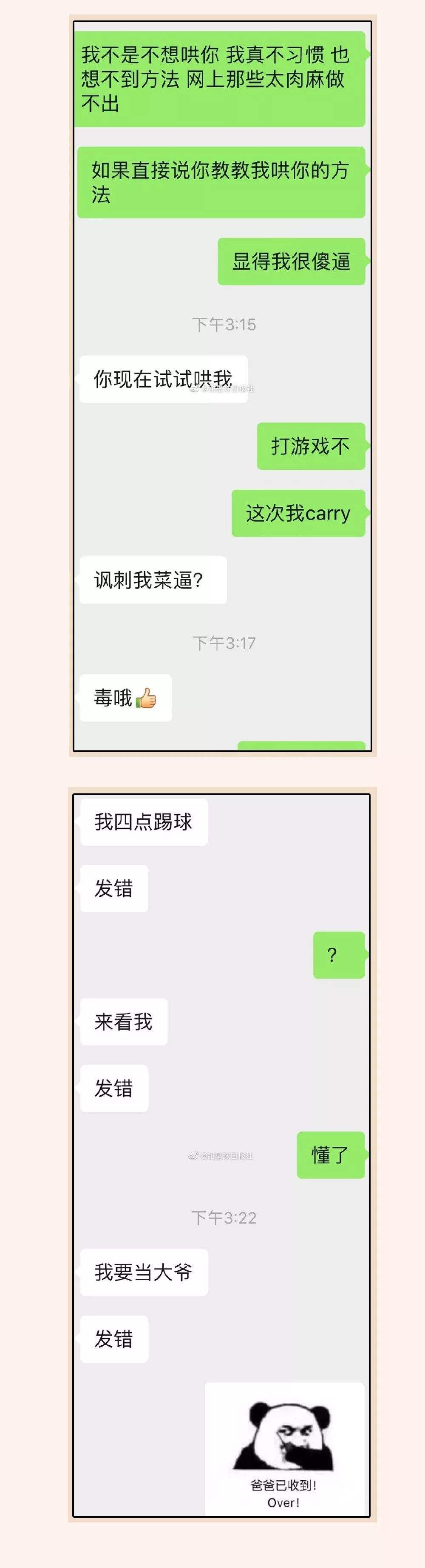 还没做好恋爱的准备聊天记录的简单介绍