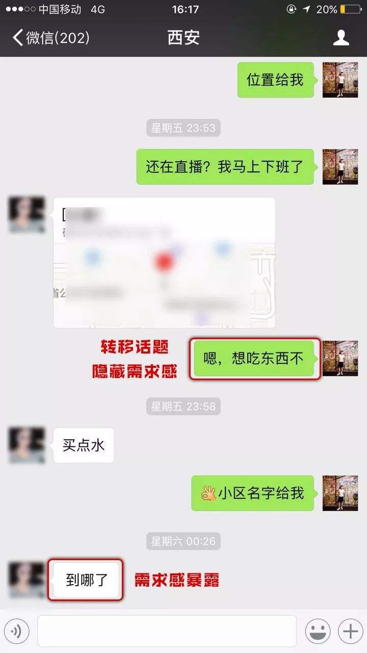 难言跟她妹妹聊天记录的简单介绍