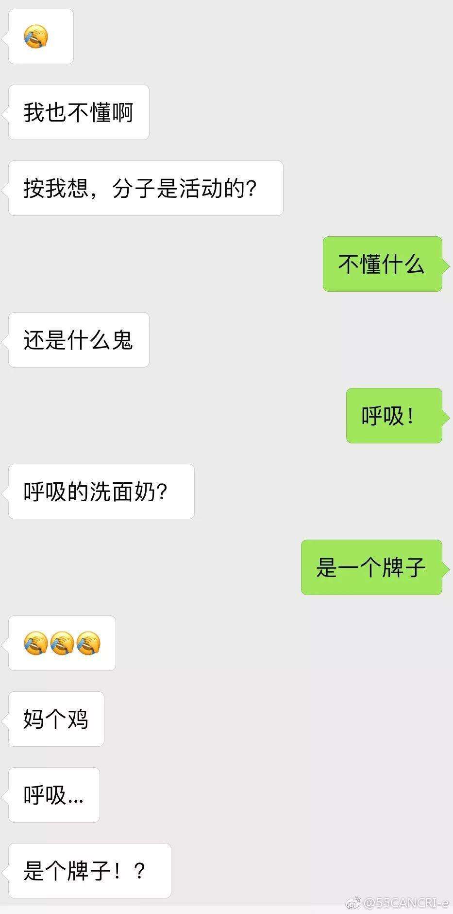 女朋友是个猪聊天记录的简单介绍