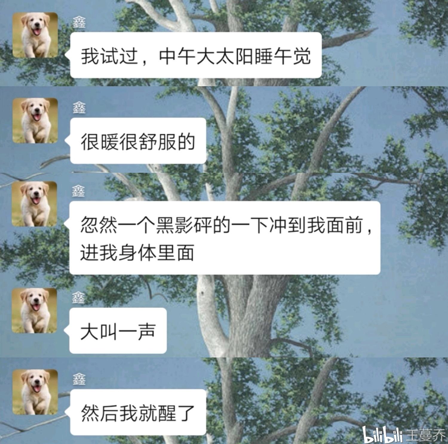 恐怖聊天记录应用(恐怖聊天记录app)