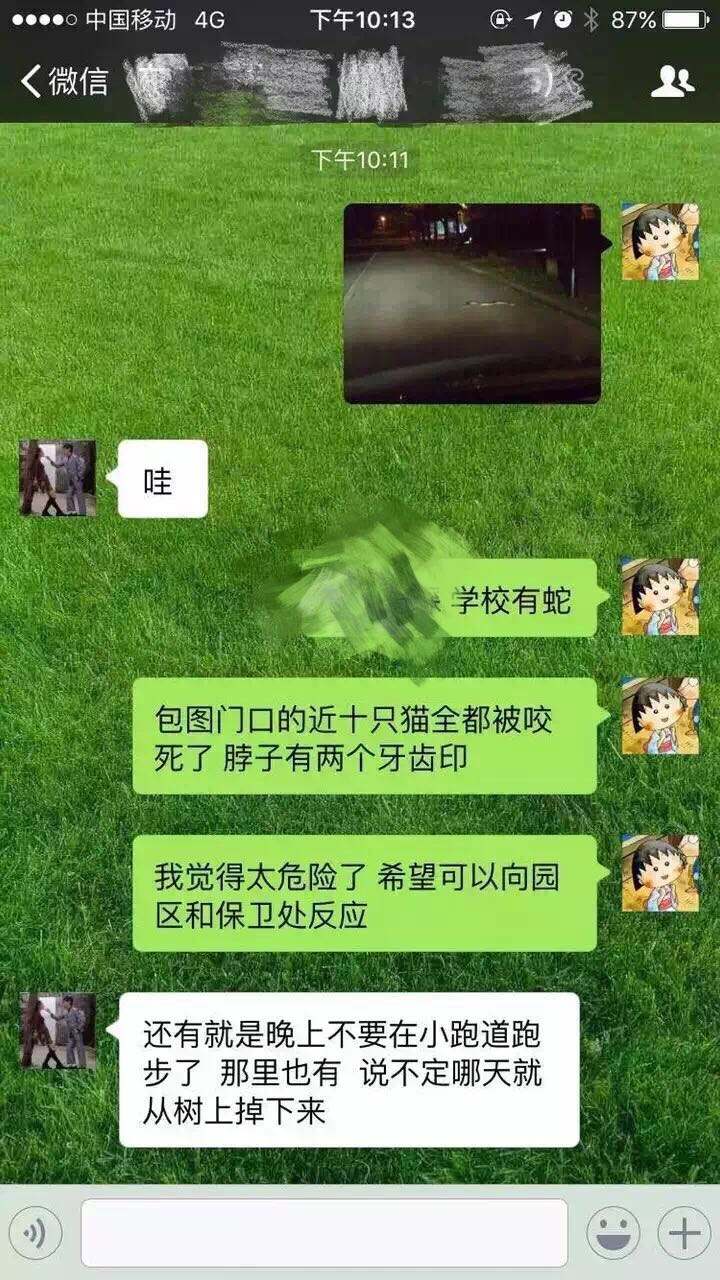 西交大聊天记录的简单介绍