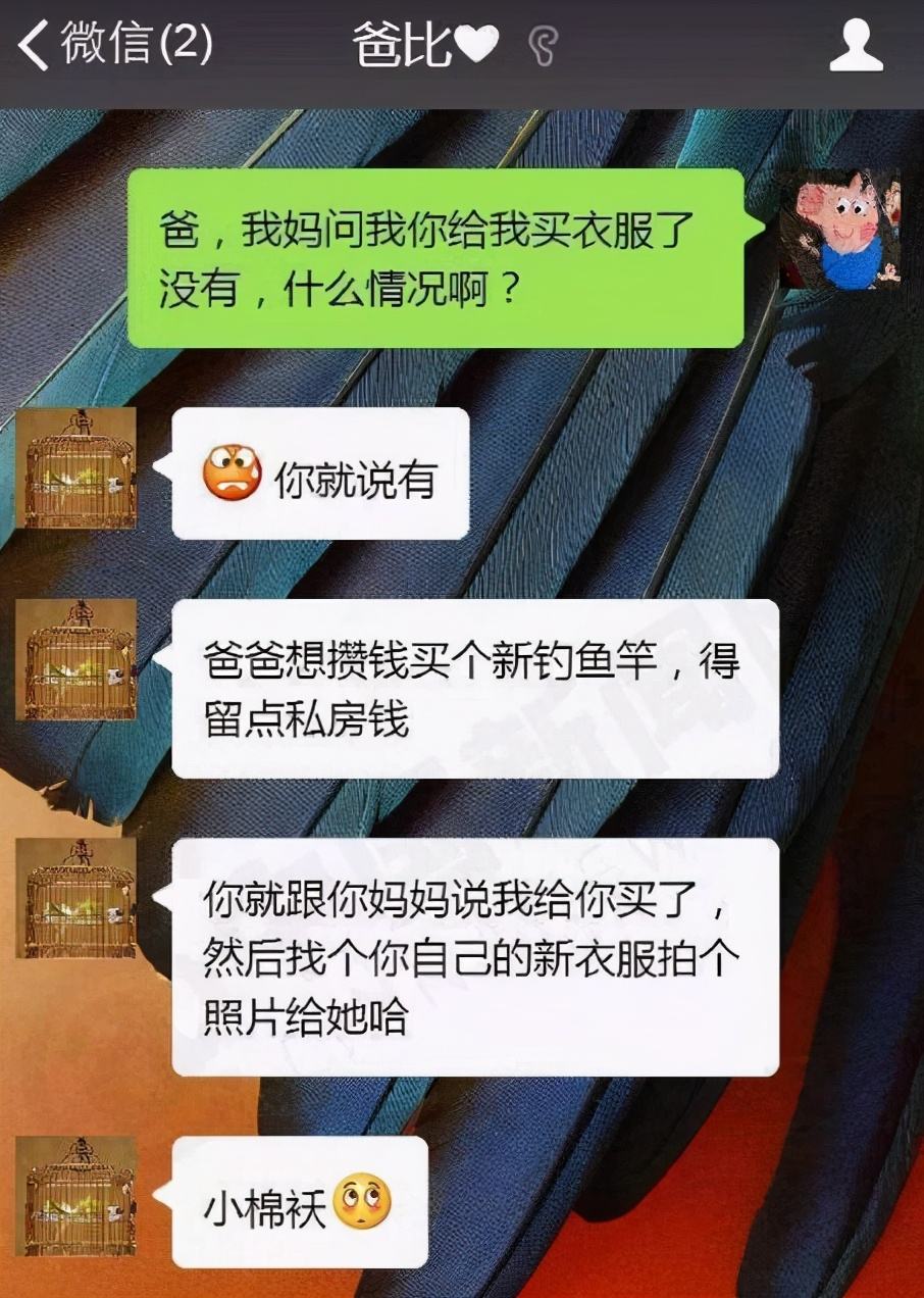 杨超越和爸爸聊天记录的简单介绍