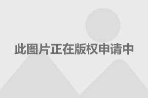 关于吴镇宇张柏芝聊天记录的信息