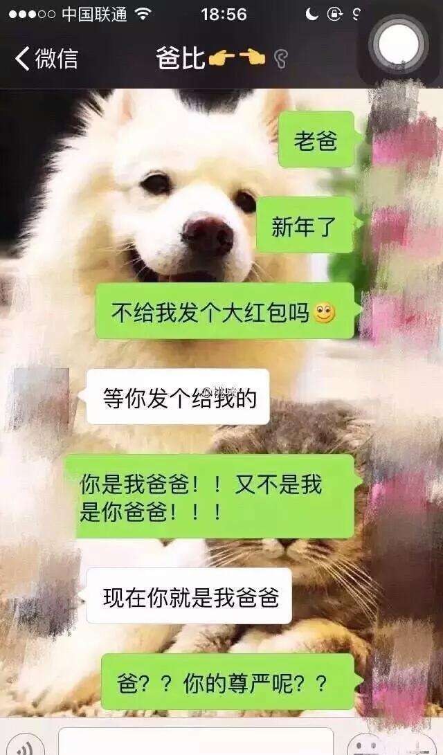 我说错了什么搞笑聊天记录(别人说记错了,怎么幽默回复)