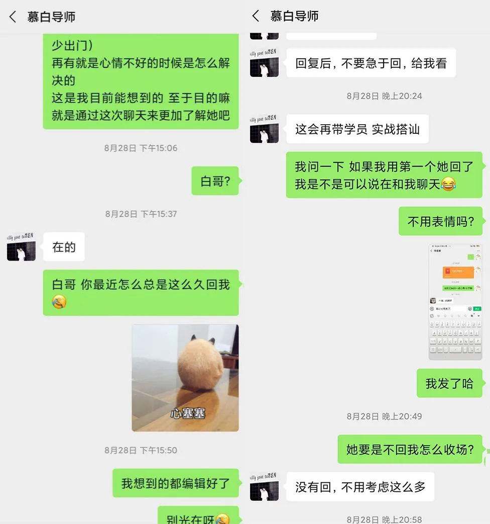 关于晚上一对男女聊天记录曝光的信息