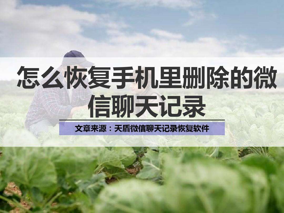 微聊天记录如何找回(怎么找回微信聊天记录)