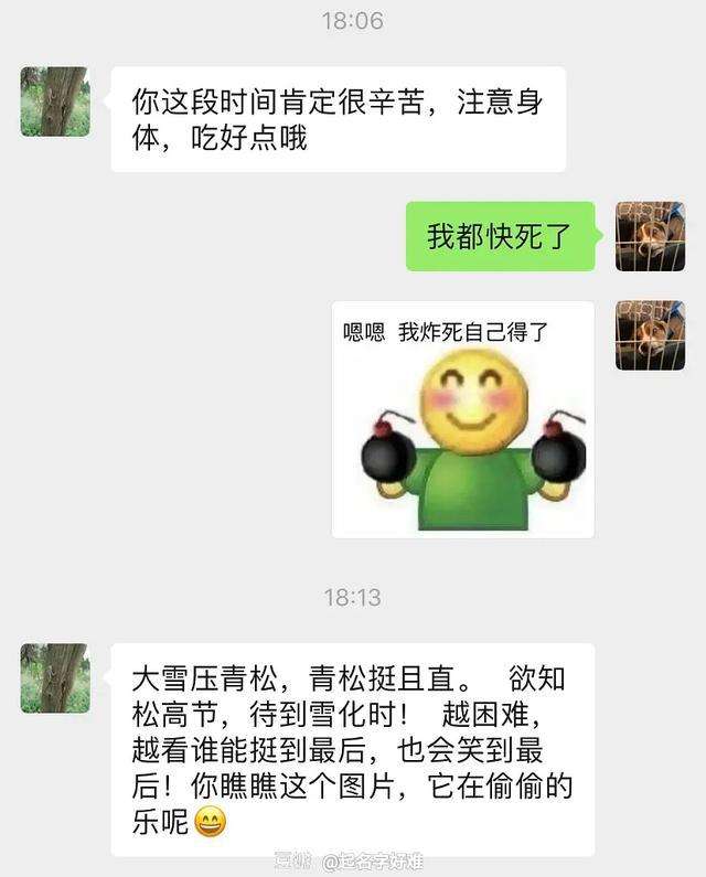 胖子和小伙伴聊天记录的简单介绍