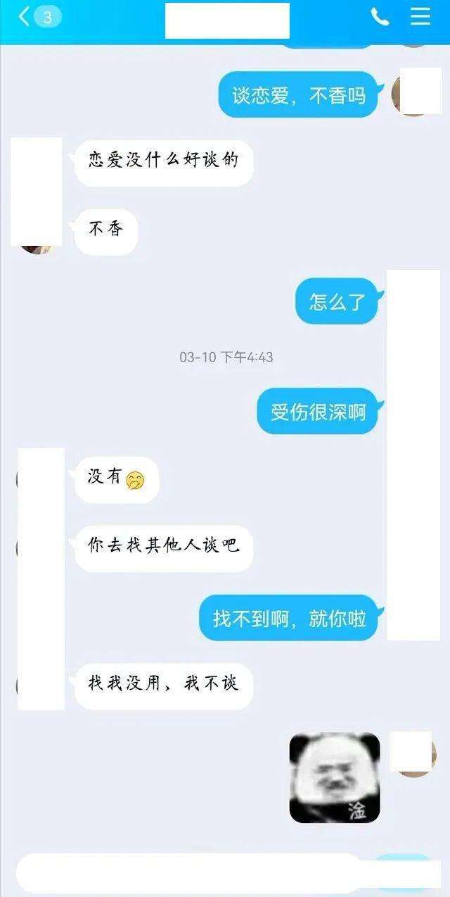 关于法学院女博士聊天记录的信息