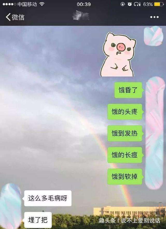 以后我要吃你家饭聊天记录(吃了我家的饭就是我家的人了)