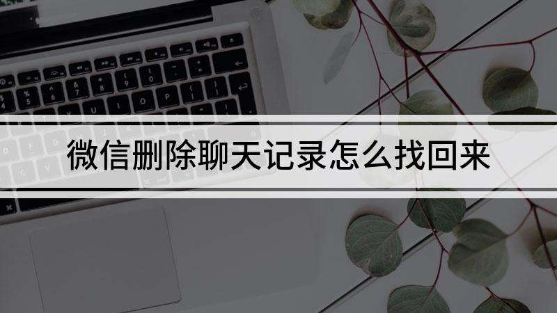 怎么找被删了的聊天记录(如何查找被删了的聊天记录)