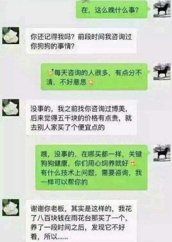 包含咋和喜欢狗狗女生聊天记录的词条