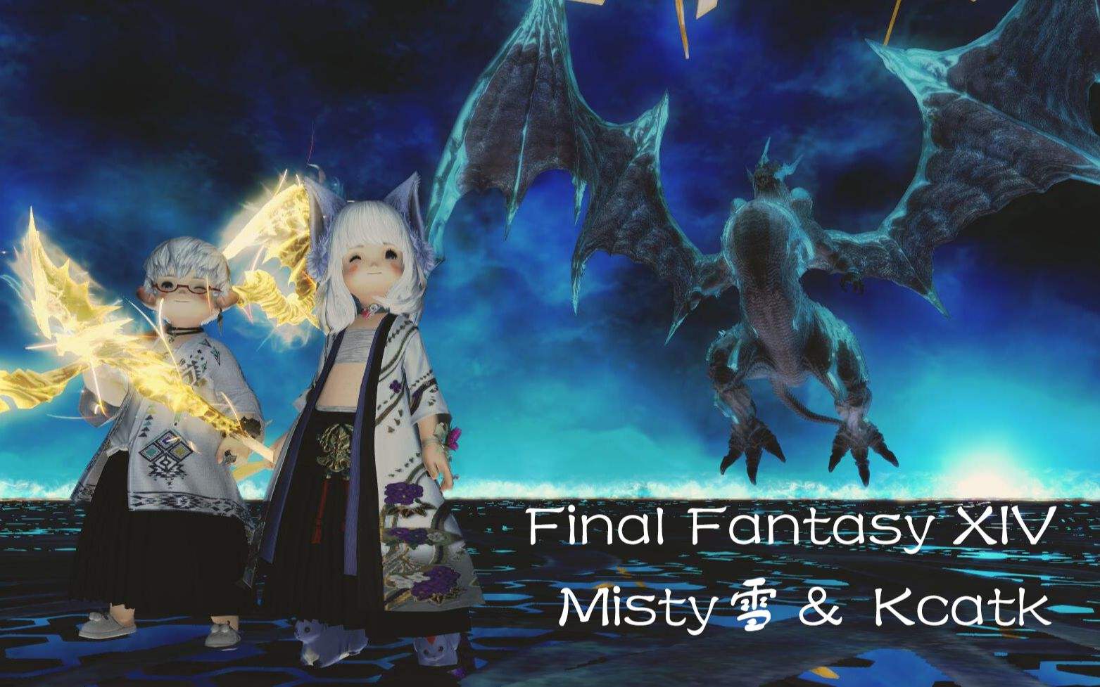 ff14聊天记录act(ff14聊天记录可以保存吗)