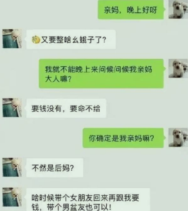 儿子找妈妈要钱聊天记录搞笑(孩子找父母要钱的爆笑聊天记录截图)