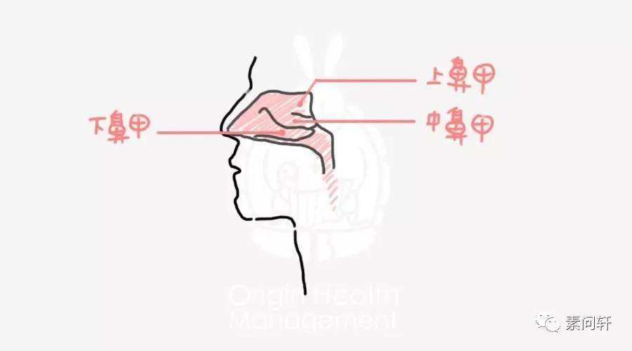 大学生抠鼻聊天记录(大学生和父母的聊天记录)