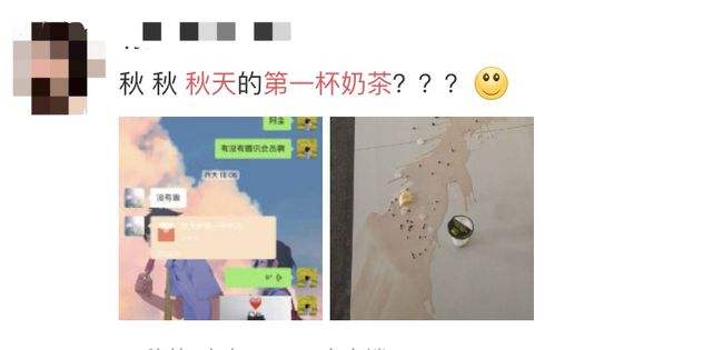 杯子碎了的聊天记录(杯子打碎了的图片和感悟)