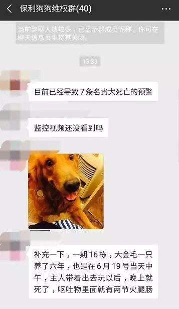 女人愛狗狗微信群聊天记录的简单介绍