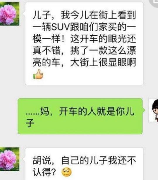 关于性价比最高的聊天记录的信息