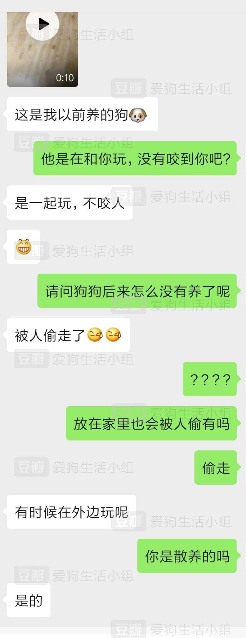 包含如何跟女生聊天记录宠物狗的词条