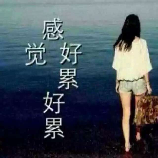 想多了很累和李成录的聊天记录的简单介绍