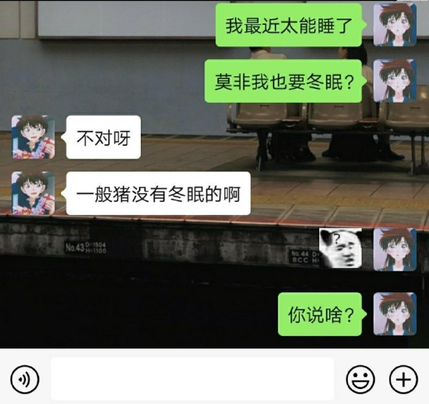 女孩会烦聊天记录吗(每天晚上都和女孩聊天她会不会烦)