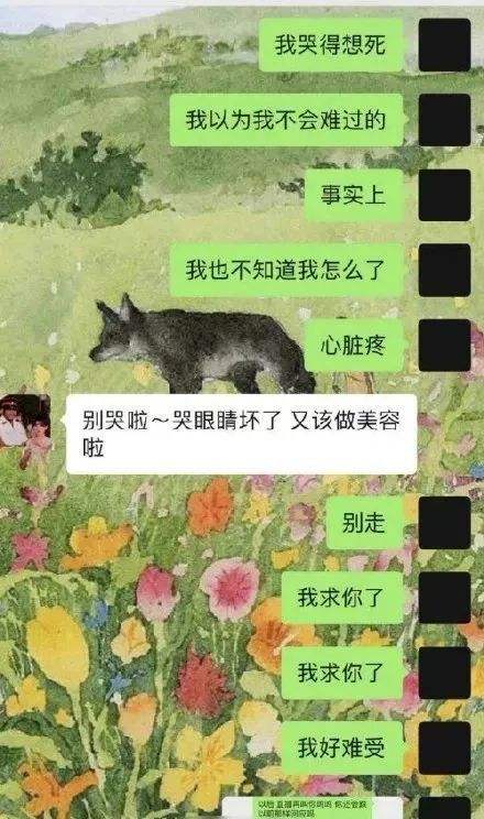 我在看到聊天记录(我把我们的聊天记录都看了一遍)