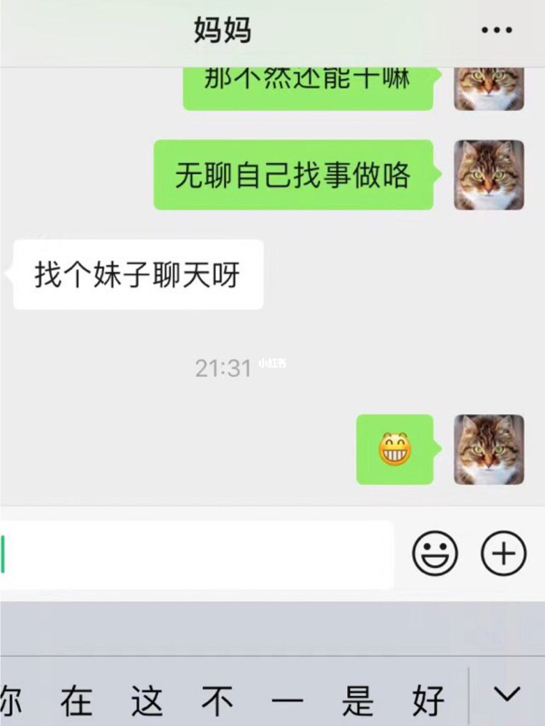 妈妈催我找对象聊天记录(父母给我介绍对象,天天催我聊天)