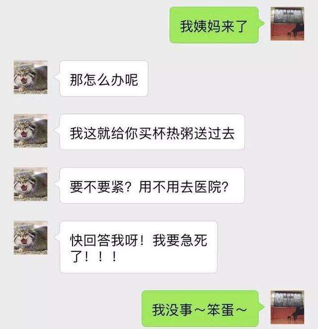 不要去看你和别人的聊天记录的简单介绍