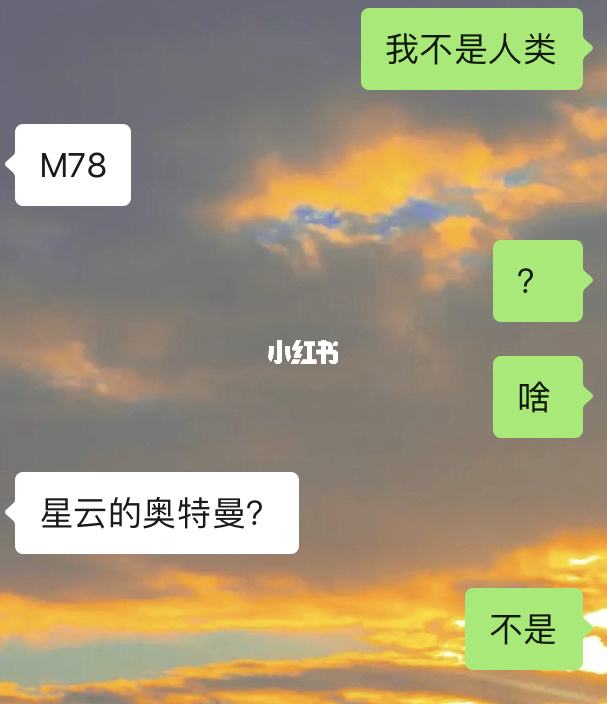 包含买家秀聊天记录沙雕的词条