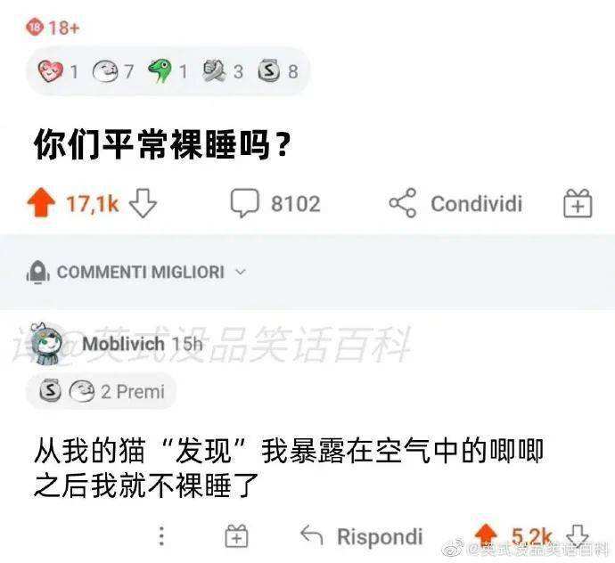 微博客户端聊天记录(微博私信历史聊天记录)