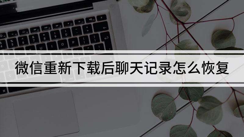 微信聊天记录下载之后呢(微信聊天记录下载后怎么打开)