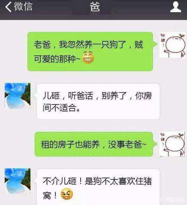 聊天记录对话段子哪里找的简单介绍