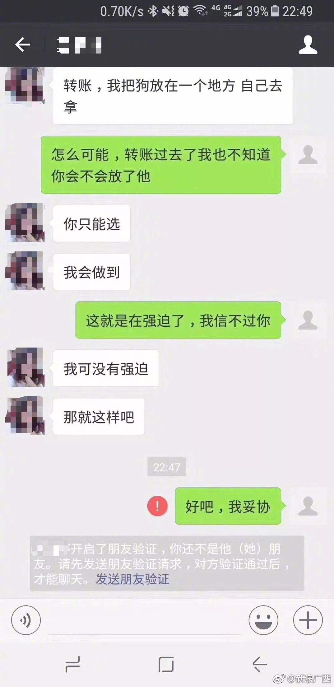 关于狗和狗怎么聊天记录的信息