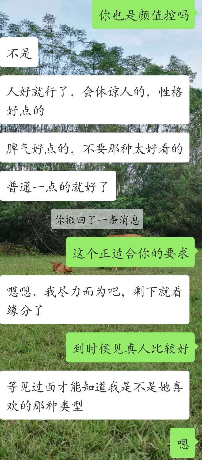 两个相亲对象同时聊天记录的简单介绍