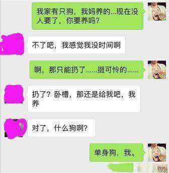 找女朋友的基本要求聊天记录的简单介绍