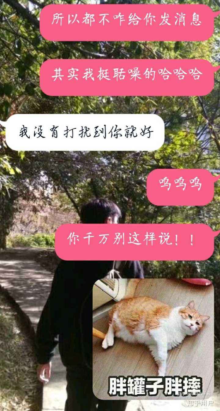 包含聊天记录女追男高冷成功案例的词条