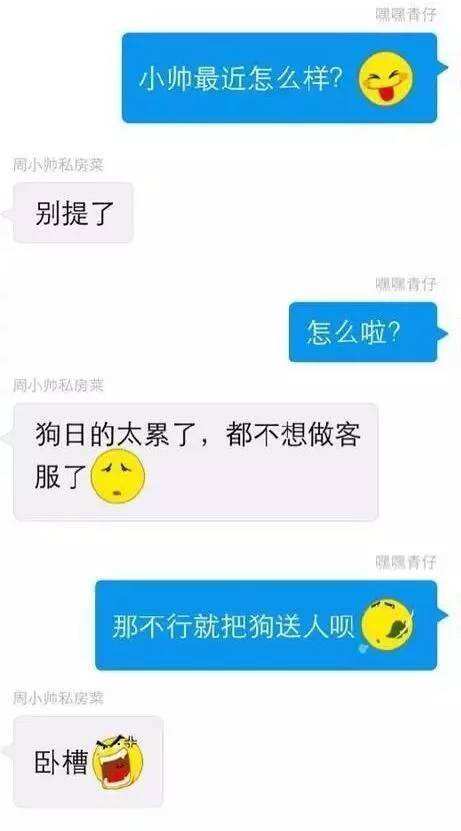 包含经典聊骚聊天记录内容的词条